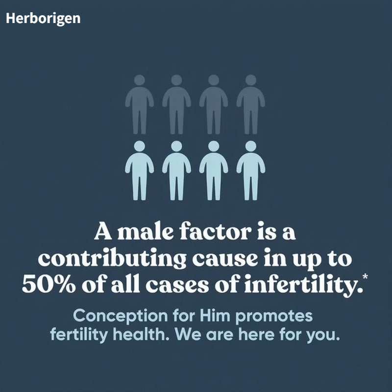 Herborigen Factory Supply Conception Capsule for Men: Strength, Fertility, Healthy Conception for Adults
