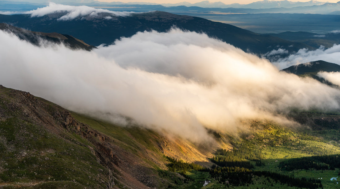 From the Mountains of Sichuan to Your Daily Wellness: Why Herborigen Is Your Trusted Herbal Supplement Expert