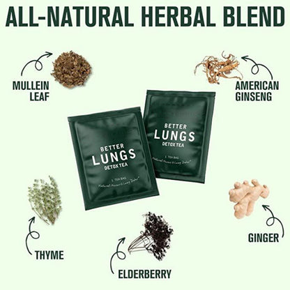 Herborigen Mullein Leaf Tea Bags for Lung Detox and Immune Support – Herbal Tea with Thyme, Elderberry, Ginseng, Ginger | Caffeine Free, 30 Count (Pack of 2)
