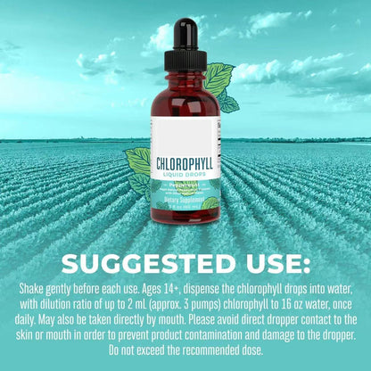 Herborigen Vegan Chlorophyll Liquid Drops with Peppermint – Sugar-Free Herbal Supplement for Digestion, Immunity & Wellness | Non-GMO, 2 fl oz