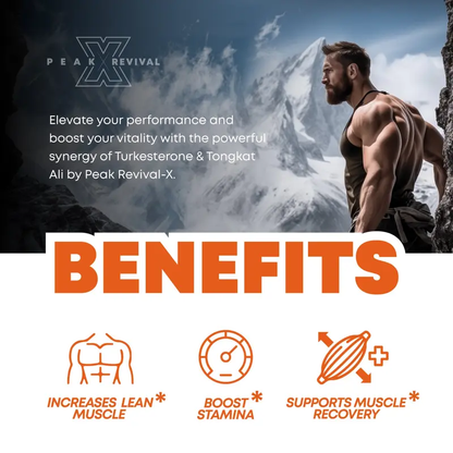 Tongkat Ali Capsules – Natural Testosterone Booster