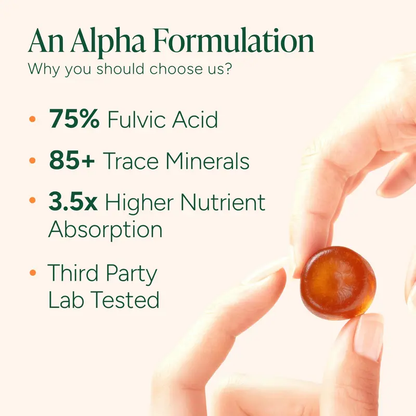 Shilajit Gummies – Energy, Stamina & Focus