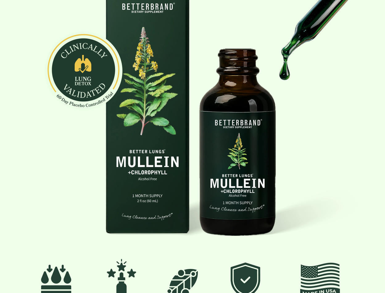 Mullein Leaf Drops – Respiratory & Lung Support
