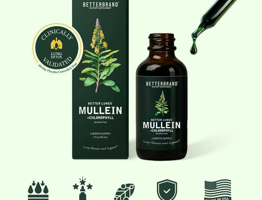 Mullein Leaf Drops – Respiratory & Lung Support