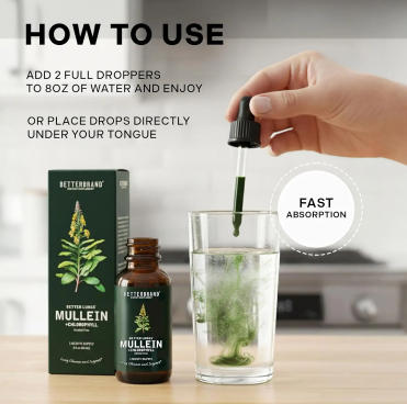 Mullein Leaf Drops – Respiratory & Lung Support