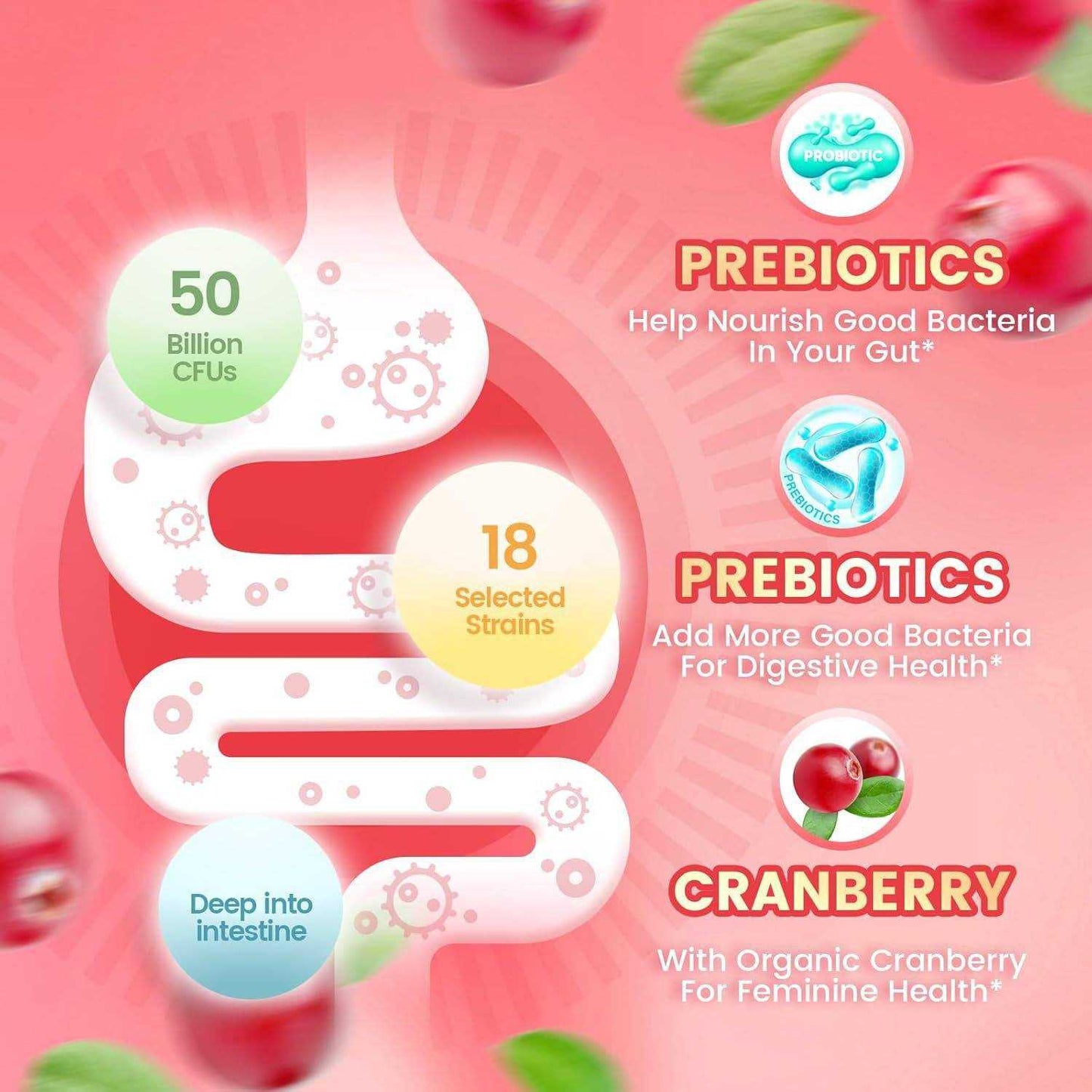 Herborigen Women's Probiotic Gummies 5 Billion CFUs Cranberry Flavor 60 Gummies Vegan Sugar Free for Digestive and Feminine Health